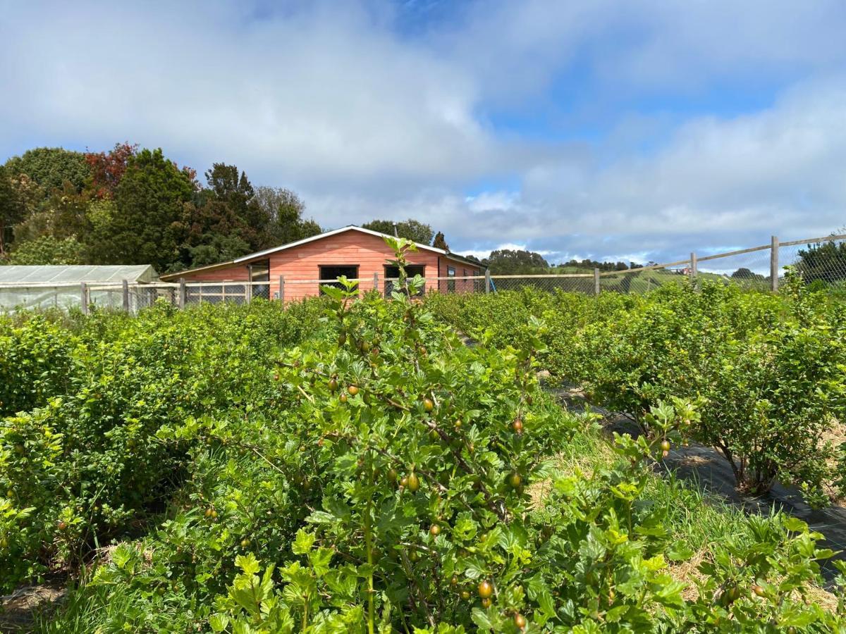Cabana Nueva En Ancud Chiloe Eksteriør billede