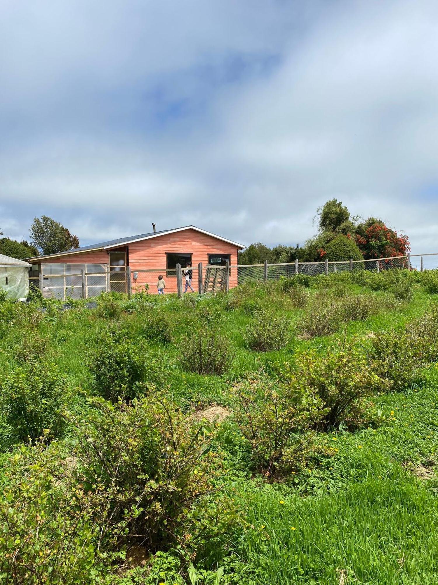 Cabana Nueva En Ancud Chiloe Værelse billede